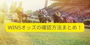 WIN5のオッズを確認する方法を2つ紹介！